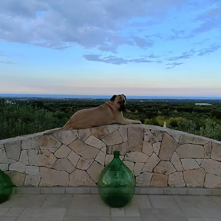Alojamento de Acomodação e Pequeno-almoço Antico Carrubo 3*