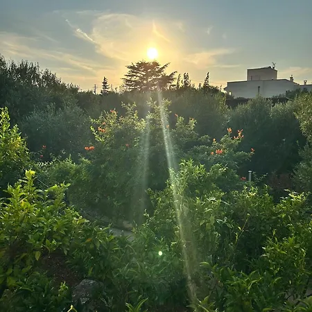 Antico Carrubo 3* Монополи