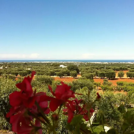 Antico Carrubo Bed & Breakfast Monopoli