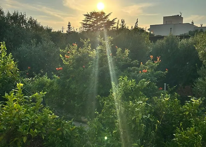 Antico Carrubo 3* Монополи